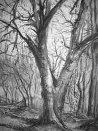 Black And White Pencil Drawings Of Trees Winter Trees Oakbank 57x40cm Charcoal Graphite Jpg 400 533 Pixels Tree Drawing Landscape Drawings Tree Drawings Pencil