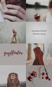 Either screenshot or hold down on the image and save . Gryffindor Aesthetic Gryffindor Aesthetic Harry Potter Wallpaper Harry Potter Love