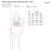 A 10 Full Chest Protector