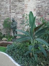 Der botanische garten der universität osnabrück zeichnet sich durch eine besondere lage aus. Botanischer Garten Karlsruhe Speyer Kurier Kurpfalzer Allgemeine Zeitung