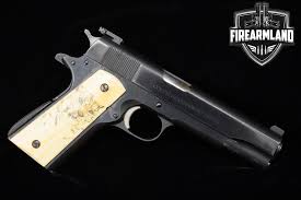 Image result for Brite Yellow 1975 Colt