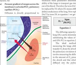 In contrast, in avians, the formation of the bgb occurs rapidly and prior to hatching. Components Of The Alveolar Capillary Membrane Download Scientific Diagram