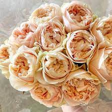 Have Y All Seen California Grown Chiffon Garden Roses Yet She S New This Year And She S Sooo Gonna Peach Roses Green Tablescape Botanical Wedding Invitations