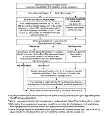 Image result for Intrathecal Pump