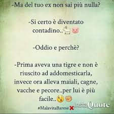 Frasi Sugli Ex Citazioni Sagge Citazioni Casuali Citazioni Cattive