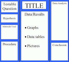Science Board Layout Cas Science Explorations Science Fair Projects Science Fair Science Fair Poster