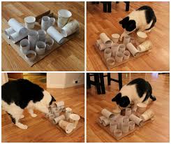Welcome to food puzzles for cats, a one stop resource for information about feeding your cat using foraging toys! Guardian S Vigil Kedreeva Innocent Until Proven Geeky