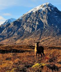 Proud By Andreas Jones 500px Scotland Highlands Scottish Landscape Cairngorms