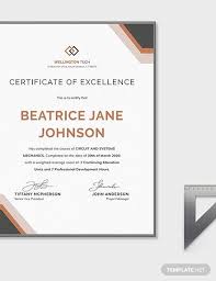 Company Training Certificate Template Word Doc Psd Indesign Apple Mac Pages Google Docs Illustrator Publisher Outlook Certificate Templates Training Certificate Word Doc