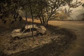 Em 3 de agosto deflagrou um incêndio na serra de monchique que durou até 17 de agosto, consumindo 27 000 hectares de floresta. Expresso Um Ano Depois Do Incendio De Monchique So Uma Casa Comecou A Ser Reconstruida