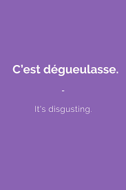 French Slang Essentials Talk In French Store French Slang Learn French French Language