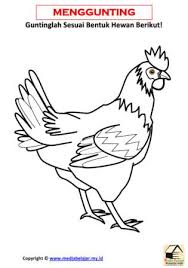 Berikut adalah sketsa gambar hewan yang mudah ditiru untuk anak tk maupun umum. Belajar Menggunting Bentuk Hewan Ayam