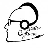 Oct 26, 2015 · spreaker studio. Radio Cigliano 5 1 5 Apk Com Spreaker Custom Prod App C 46242 Apk Download