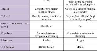 1 Principal Differences Between Prokaryotic Cells And Eukaryotic Cells Download Table Prokaryotic Cell Eukaryotic Cell Study Biology