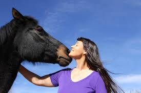 The gentle barn foundation is home to hundreds of animals rescued from abuse, neglect and slaughter. Ellie Laks Heals Hearts At The Gentle Barn Female Entrepreneurs