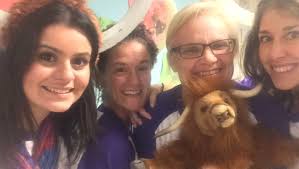 Your photos: Morris heroes, happenings and accomplished kids