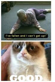I Ve Fallen And I Can T Get Up Funny Grumpy Cat Memes Grumpy Cat Humor Grumpy Cat