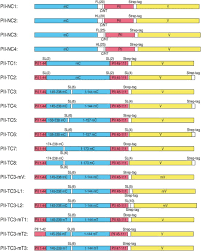 Altenzentren der stadt solingen ggmbh. P Ii Protein Derived Fret Sensors For Quantification And Live Cell Imaging Of 2 Oxoglutarate Scientific Reports