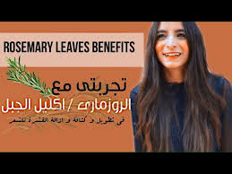 تجربتى مع الروزمارى اكليل الجبل للشعر تطويل وكثافة و علاج للقشرة rosemary leaves benefits youtube