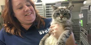 Legal effort allows rescued animals to be adopted