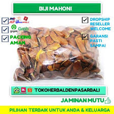 1 biji pagi, tengah hari & malam. Jual Biji Mahoni Sky Fruit Xiang Tian Guo Buah Tunjuk Langit Kering Asli Kota Denpasar Tokoherbaldenpasarbali Tokopedia