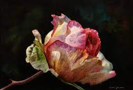 Home background painting background oil painting backgrounds. How To Create A Beautiful Dark Background Free Watercolour Video Lesson Watercolor Oil Paintings Of Roses And Flowers Dvds Online Videos Free Lessons