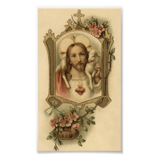 [Image: images?q=tbn:ANd9GcRSWmaxX5BFP4wuSJLbfNM...NIELA&s=10]