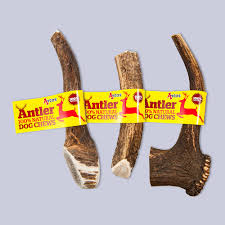 How to soften deer antlers for dogs. Reindeer Antlers For Dogs Reviews And Top Rated For 2020