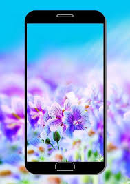 When you boot your computer, there is an initial screen that comes up, in which your folders, documents, and software shortcuts are placed. 3d Flower Wallpapers Full Hd 2018 For Android Apk Download