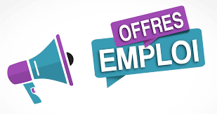 Offre D Emploi Ne Ratez Pas Votre Chance Offre Emploi Recrutement Emploi