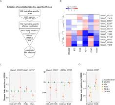 Sie können jede heruntergeladene vorlage unverändert verwenden oder an. Transcriptome Analysis In The Maize Ustilago Maydis Interaction Identifies Maize Line Specific Activity Of Fungal Effectors Biorxiv
