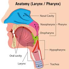 Simple line diagrams accompany the text. Head Tumor And Neck Tumor Surgery General Surgeon Singapore