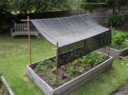 A Step By Step Guide For Making Shade Cover Fitted For A Garden Bed Made With Bamboo Poles And Shade Cloth Pergola Shade Garden Sun Shade Sustainable Garden