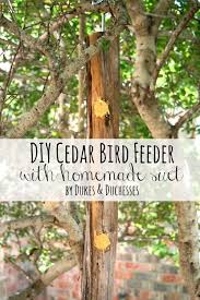 cedar bird feeder with homemade suet