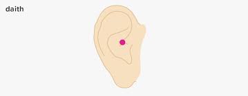 Image result for Ear Nerve Block