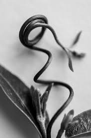 Abstract Black And White Macro Photography Black And White Flower In 2020 Black And White Abstract Black And White Photographs Black And White