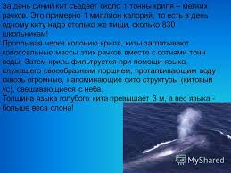 مئة حوت يتعرض للقتل يومياً على يد صيادي الحيتان. Ù…Ø§ Ù‡Ùˆ Ø§Ù„ÙŠÙˆÙ… Ø§Ù„Ø¹Ø§Ù„Ù…ÙŠ Ù„Ù„Ø«Ø¯ÙŠÙŠØ§Øª Ø§Ù„Ø¨Ø­Ø±ÙŠØ© Ø§Ù„ÙŠÙˆÙ… Ø§Ù„Ø¹Ø§Ù„Ù…ÙŠ Ù„Ø­Ù…Ø§ÙŠØ© Ø§Ù„Ø«Ø¯ÙŠÙŠØ§Øª Ø§Ù„Ø¨Ø­Ø±ÙŠØ© ÙŠØ¬Ø¨ Ø¥Ù†Ù‚Ø§Ø° Ø§Ù„Ø­ÙŠØªØ§Ù†