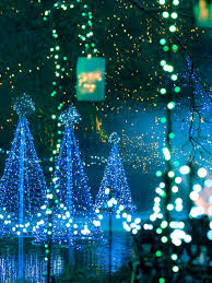 When it comes to decorating with lights, we're used to wrapping them around the tree over and over until we get from top to bottom. Where To See The World S Best Christmas Lights Conde Nast Traveler