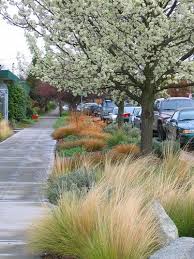 Full Bloom Landscape Plans Landscape Design Modern Landscape Design