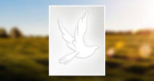 Monica Renee Miller Obituary September 14, 2019