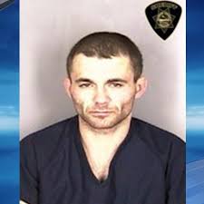 Burglary suspect tries to escape sergeant