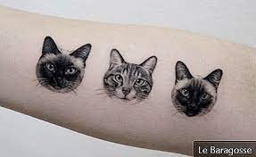 Post a comment for výzmam tetování kočky : Kocici Tetovani 85 Napadu Pro Zamilovani A Inspiraci Krasa 2021