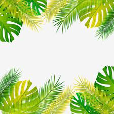 Search more hd transparent aesthetic image on kindpng. Palm Tropika Pohon Vektor Hutan Daun Bingkai Daun Latar Belakang Sempadan Hutan Musim Panas Bentuk Hijau Dedaunan Ilus Tropical Leaves Leaf Illustration Plants