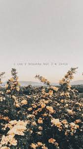 Check spelling or type a new query. Cute Autumn Quotes Tumblr Inspiring Qutoes Tumblr Dogtrainingobedienceschool Com