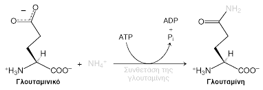 Διαφάνεια 1