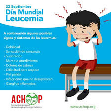 Este hecho, junto a que se. Achop Twitterissa Hoy Se Conmemora El Dia Mundial De La Leucemia Especificamente De La Leucemia Mieloide Aguda Traemos Algunos Sintomas Y Signos De Alerta Para Su Deteccion Temprana Diamundialleucemia Leucemiamieloideaguda Https T Co S9lstls82l