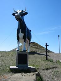 See more monuments & statues in buffalo on tripadvisor. Salem Sue Wikipedia