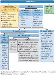 Image result for Transtubular Potassium Gradient