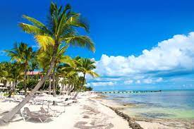 I just came here to see the sunrise one morning during my vacation. 8 Best Beaches In Key West Key West Travel Blog
