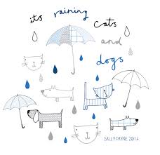 Cat and dog drawing app is believed to be in the public domain. Raining Cats And Dogs Raining Cats And Dogs Animal Doodles Dog Cat